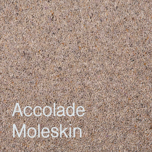 Accolade Moleskin Accolade Moleskin
